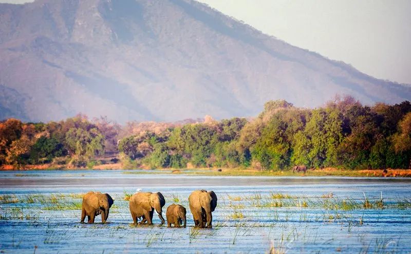 Exquisite Global Destinations: A Guide to Unforgettable Adventures